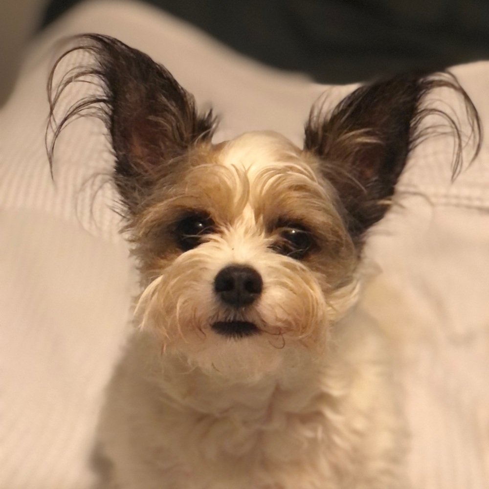 Cooper Magoo